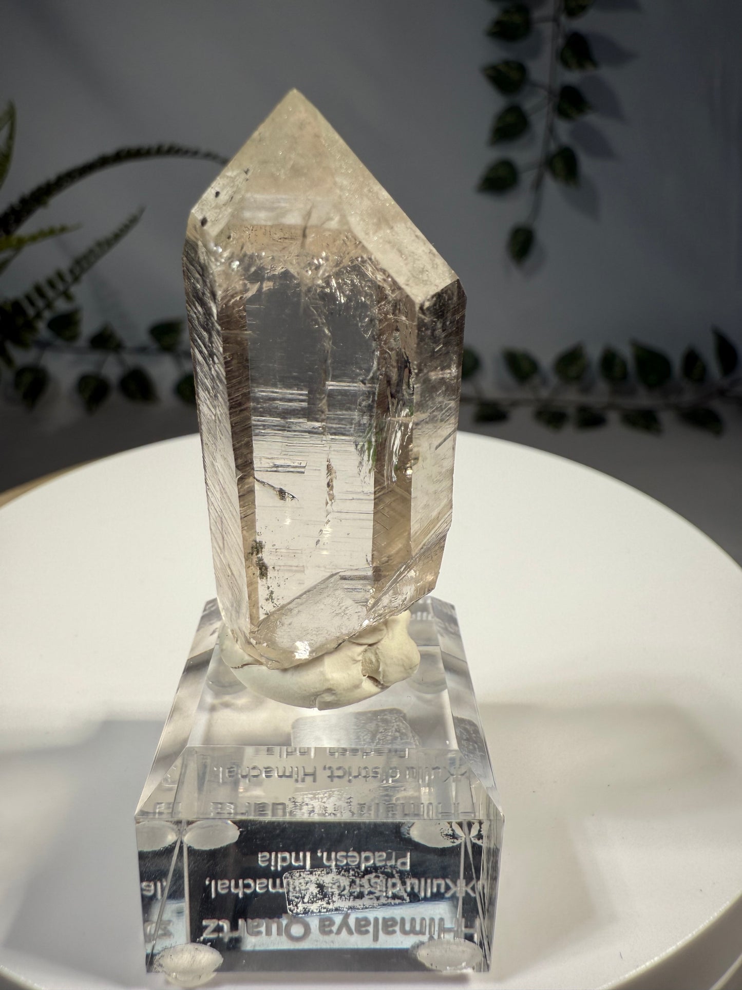 Himalaya Quarz mit Anatas