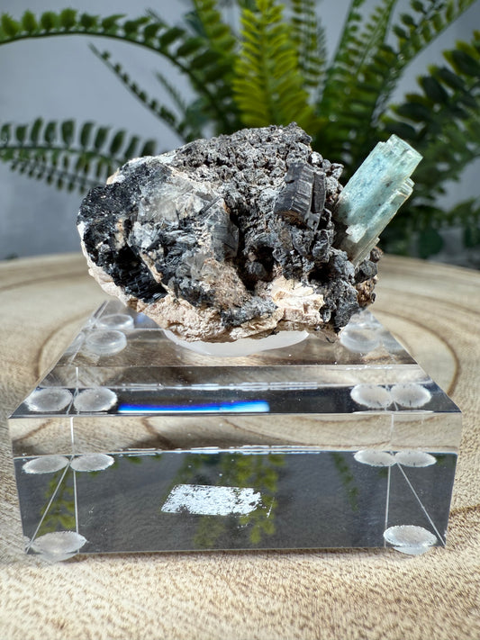 Aquamarin auf Matrix