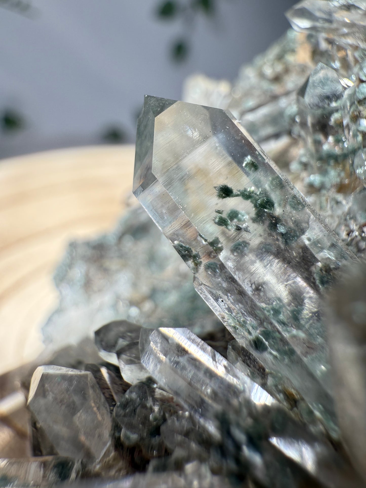 Chlorit Quartz