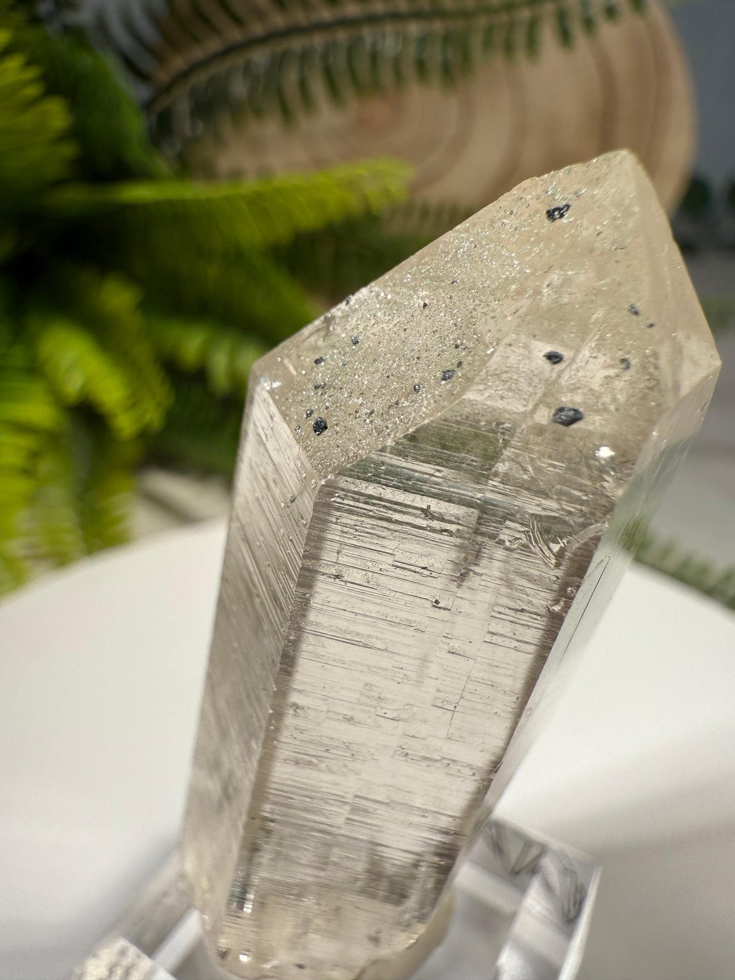 Himalaya Quarz mit Anatas