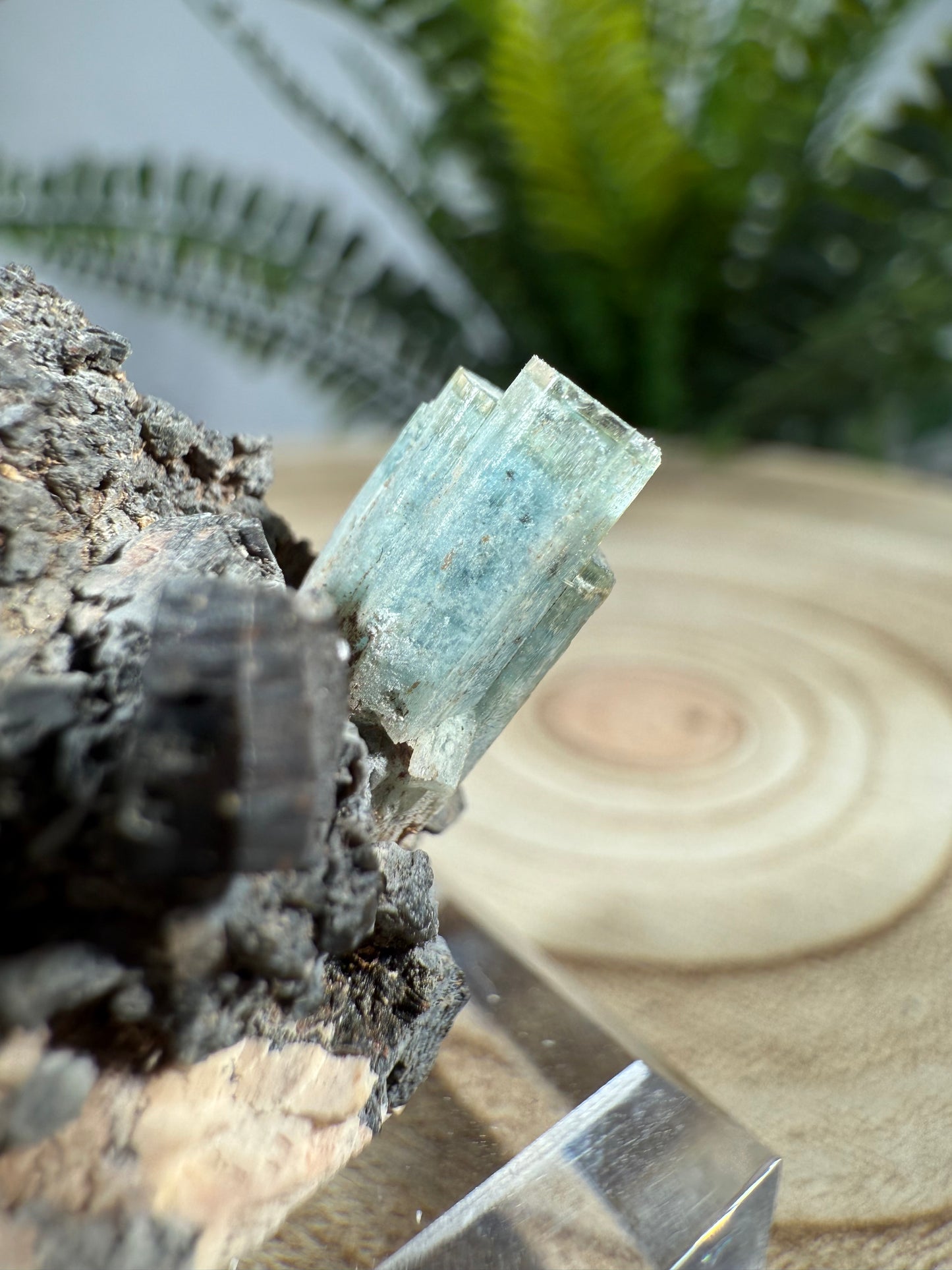 Aquamarin auf Matrix