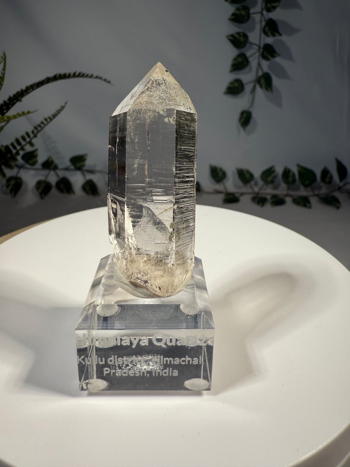 Himalaya Quarz mit Anatas