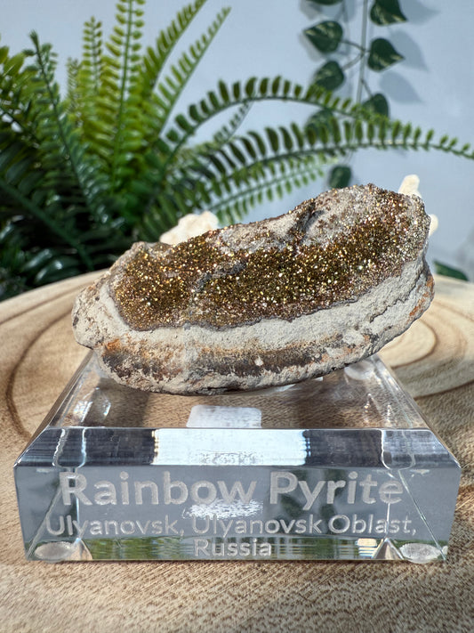 Rainbow Pyrit