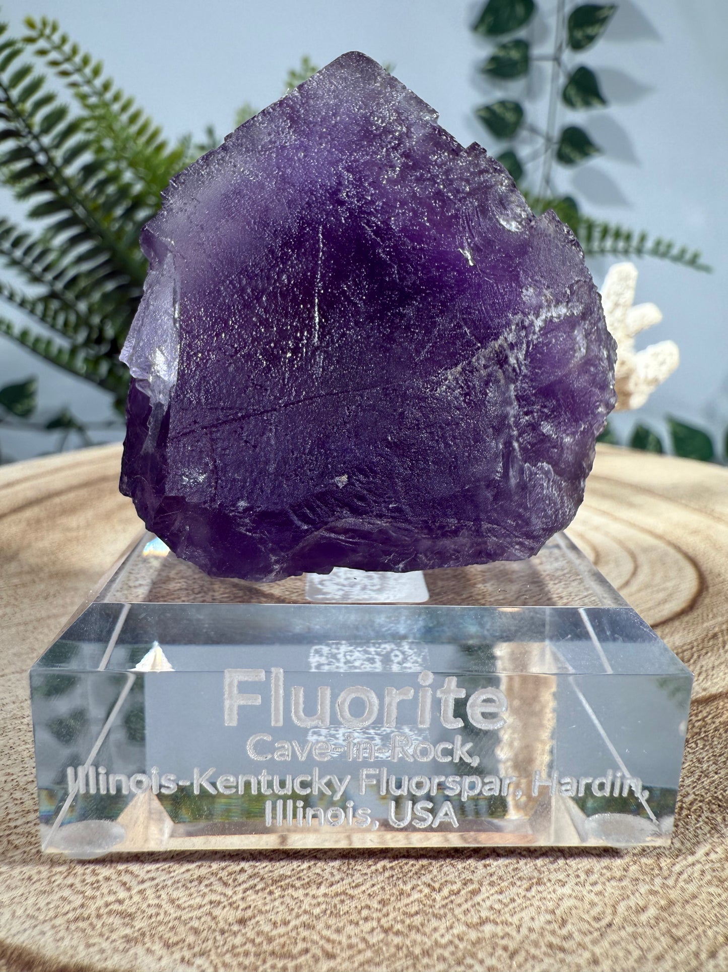 Fluorit
