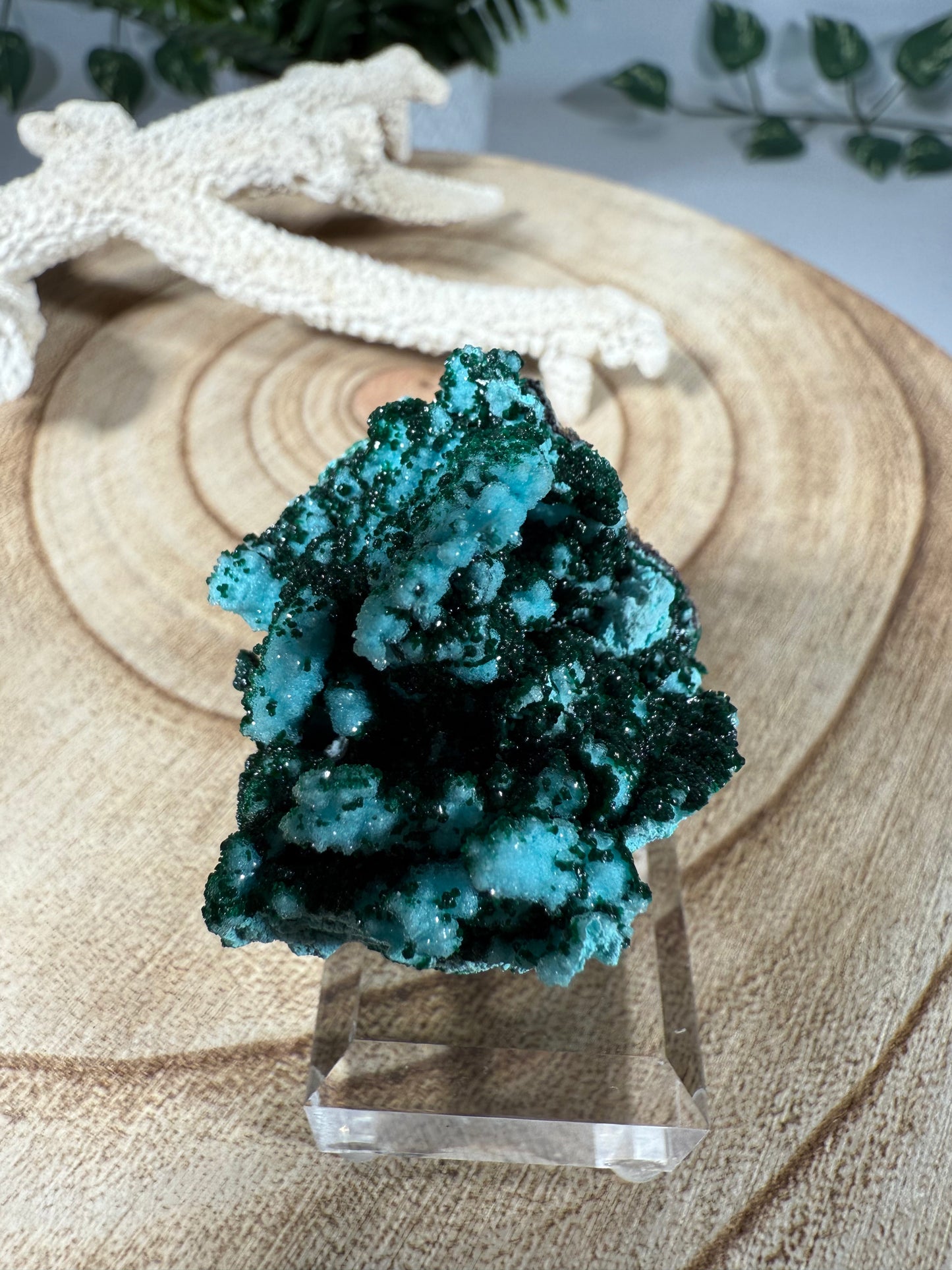 Quarz, Chrysokoll, Malachit